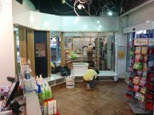 Alles muss <br>in Kisten<br>