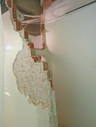 Sie ist <br>fast verschwunden<br>